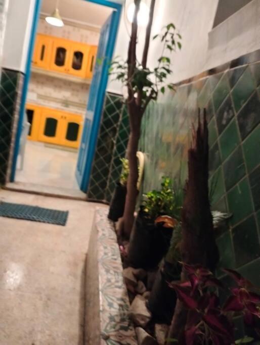 Coup De Coeur A Sidi Bou Said Exterior foto
